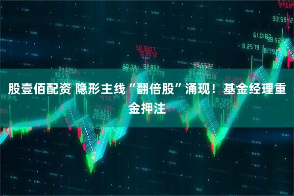 股壹佰配资 隐形主线“翻倍股”涌现！基金经理重金押注