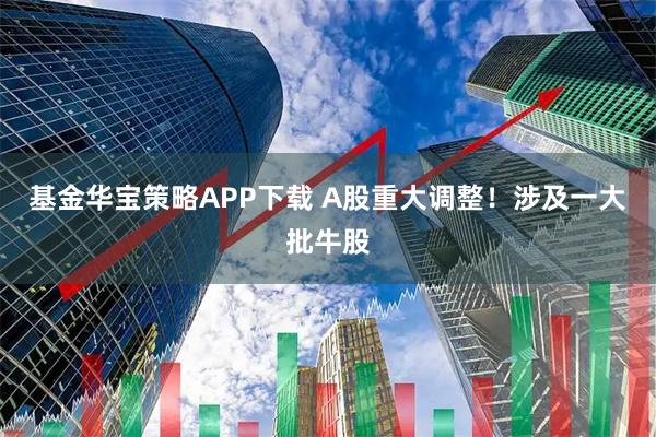 基金华宝策略APP下载 A股重大调整！涉及一大批牛股