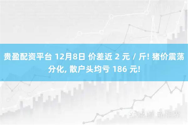 贵盈配资平台 12月8日 价差近 2 元 / 斤! 猪价震荡分化, 散户头均亏 186 元!